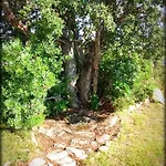别墅 New With Jacuzzi, Near St Cyprien