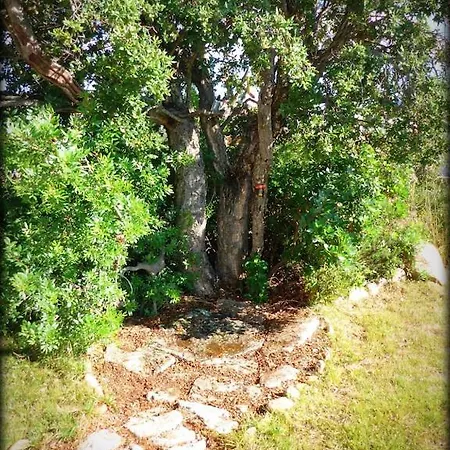 Villa New With Jacuzzi, Near St Cyprien
